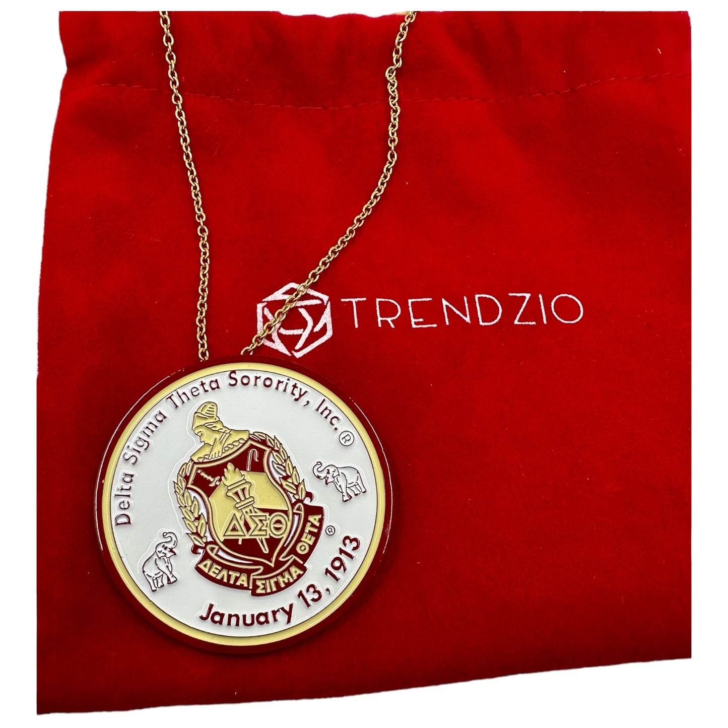 Delta Sigma Theta Custom Necklace Pin