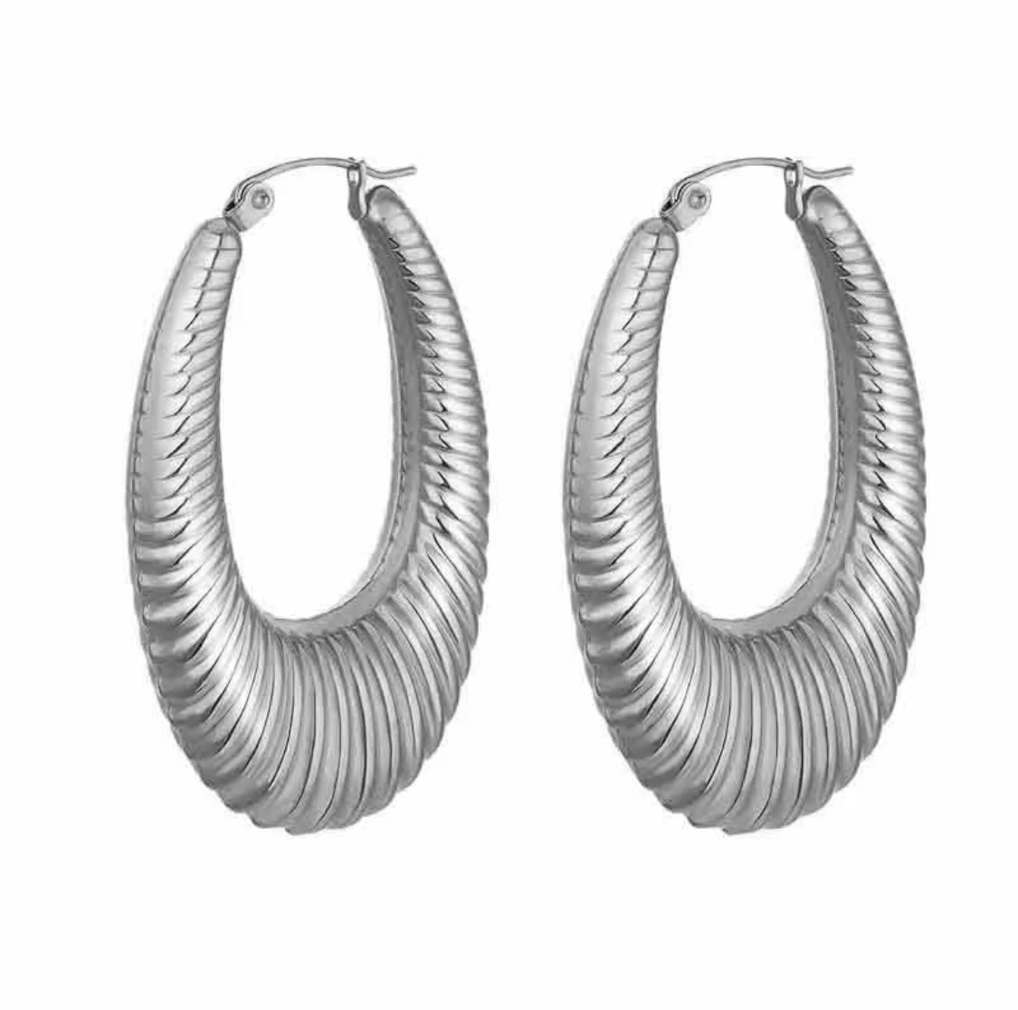 Stainless Steel Huggie Earrings