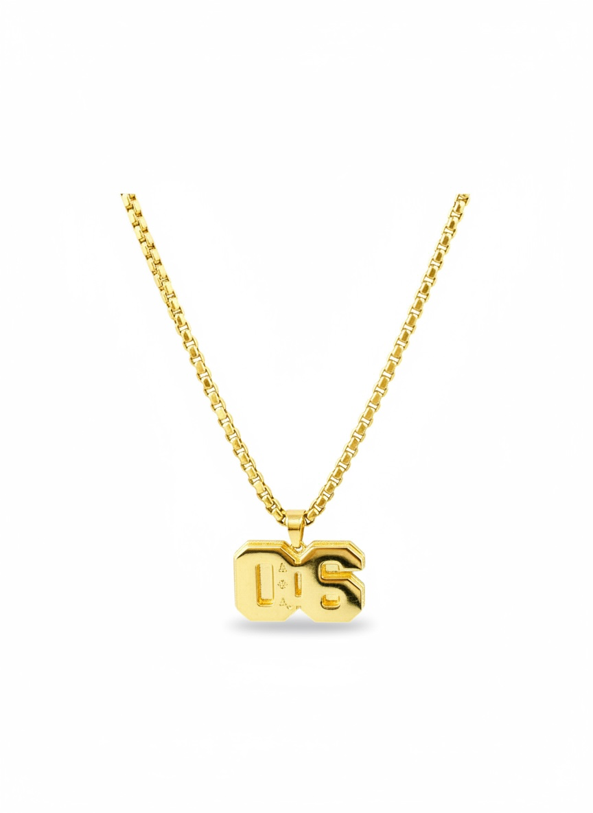 Alpha Phi Alpha 06 gold number pendant necklace by Trendzio Jewelry