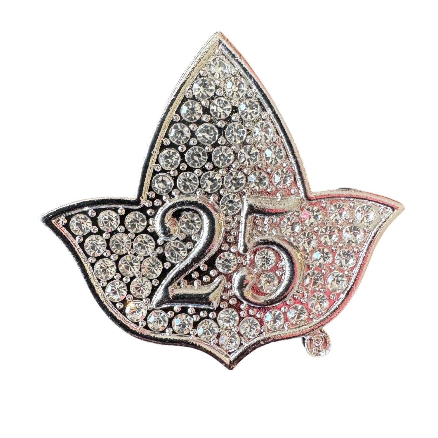 AKA Silver Soror 25yr Ivy CZ Pin