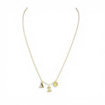 Trendzio Jewelry gold-plated Delta Sigma Theta Greek letter charm necklace in tarnish-free stainless steel.