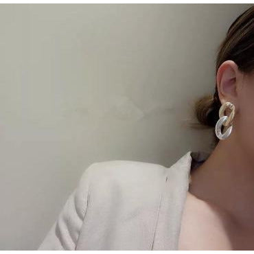 Gold and Silver Link Earrings Earrings Trendzio 