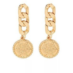 Gold Link Chain and Coin Earrings Earrings Trendzio 