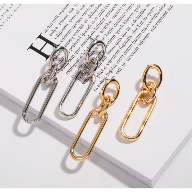 Rose Long Oval Chain Link Earrings Earrings Trendzio 